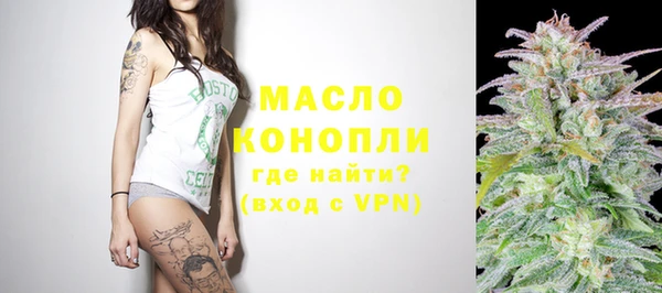 дмт Мегион