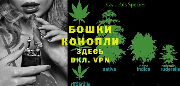 дмт Мегион