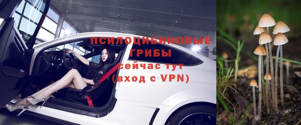 гидропоника Ачинск